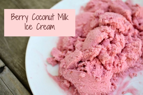 Berry Coconut Milk Ice Cream